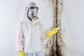 Best Mold Damage Restoration  in Nicoma Park, OK